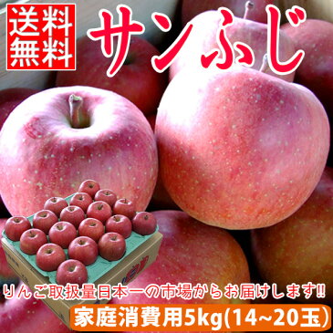 【スーパーSALE大特価】【訳ありの訳あり】サンふじ 約5kg前後 14個〜20個入【送料無料】【りんご 5kg 訳あり】【りんご 訳アリ 5kg】【青森 りんご 5kg】【ふじりんご 通販】