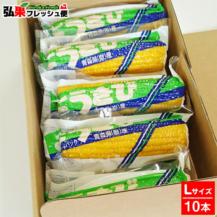 嶽きみ 真空パック Lサイズ10本入り ギフト箱入り とうもろこし だけきみ 食べたい時にすぐに食べれる便利な真空パック 当店人気商品・毎年数量限定での販売です 