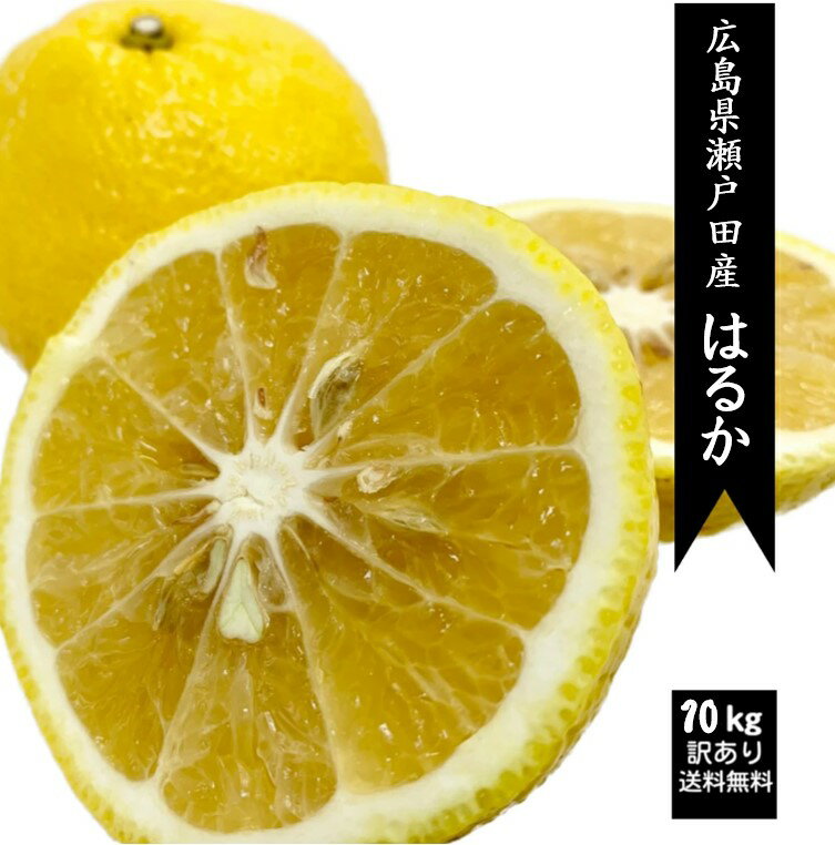 【広島県尾道　瀬戸田産　はるか　10kg　サイズ混載　訳あり】シミ 傷 黒点あり 箱入り 送料無料 日向夏 スマイルカット しまなみ街道 瀬戸内海 柑橘 果物 ...