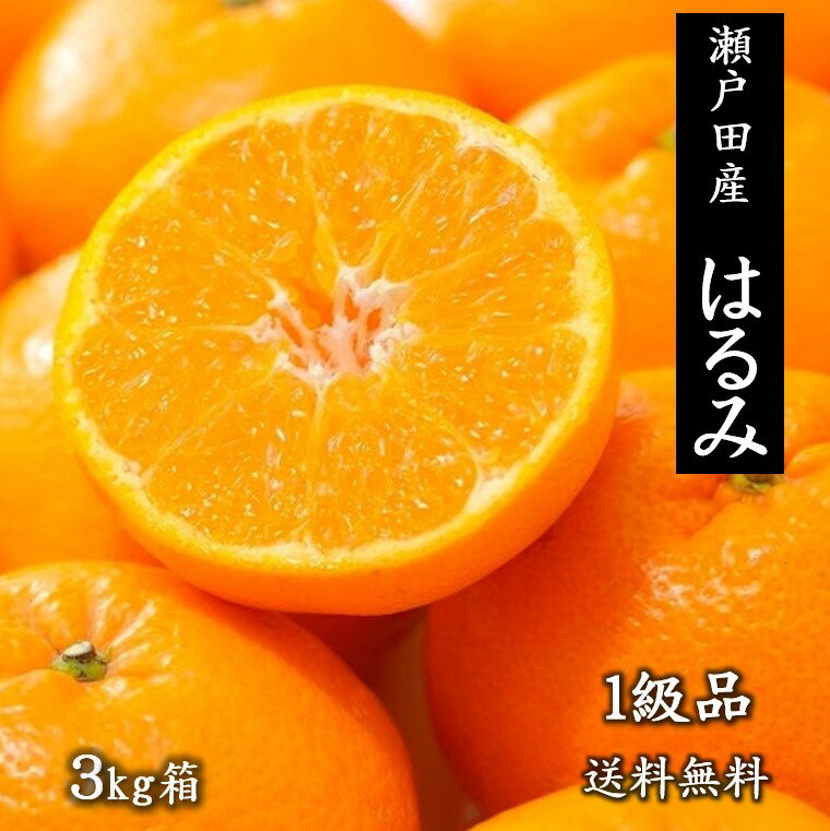 商品画像1