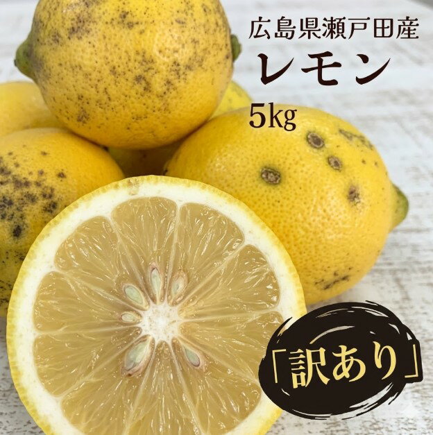 【広島県瀬戸田産レモン 5kg 訳あり ノーワックス 不揃い 】箱入り 送料無料 尾道 ...