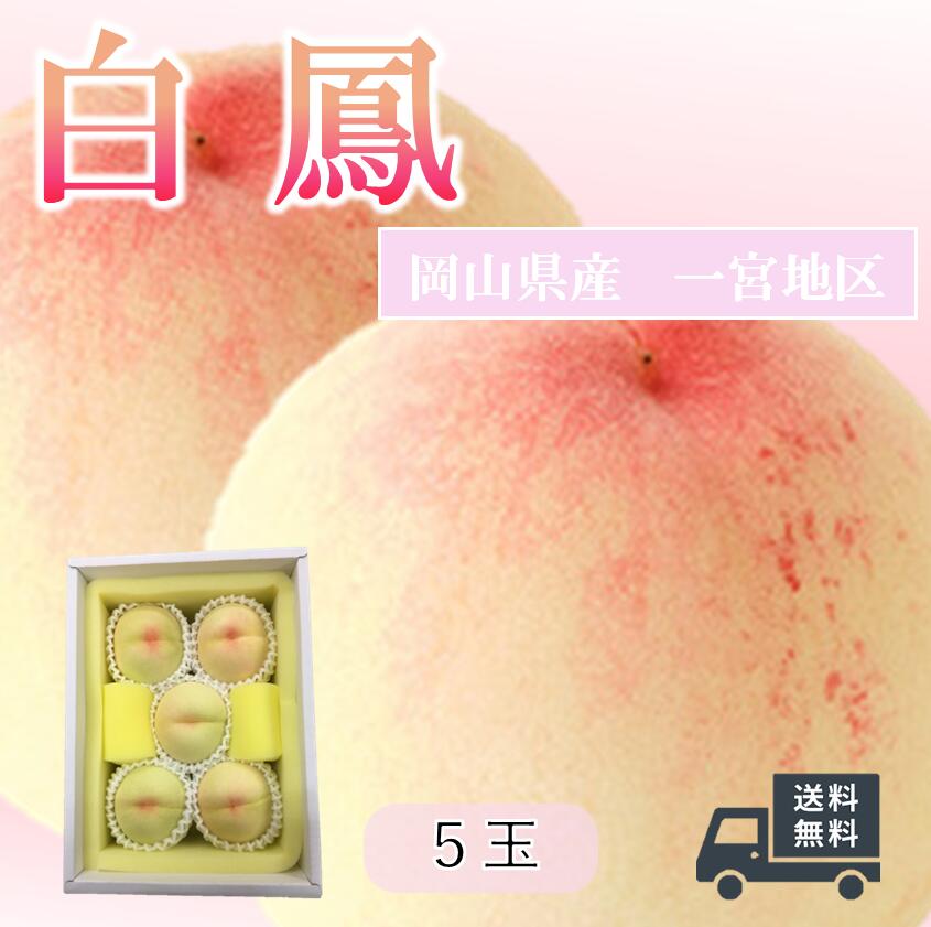 【ご注文承り中】岡山　白桃　ギフト　白鳳　一宮地区　5玉　もも　贈答　7月上旬から7月中旬頃のお届け