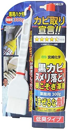 宮崎化学 根こそぎ革新 業務用(専用ハケ付/300g) 黒カビ ヌメリ落とし カビ取り[送料無料(一部地域を除く)]