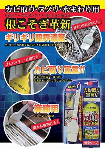 宮崎化学 根こそぎ革新 業務用(専用ハケ付/300g) 黒カビ ヌメリ落とし カビ取り[送料無料(一部地域を除く)]