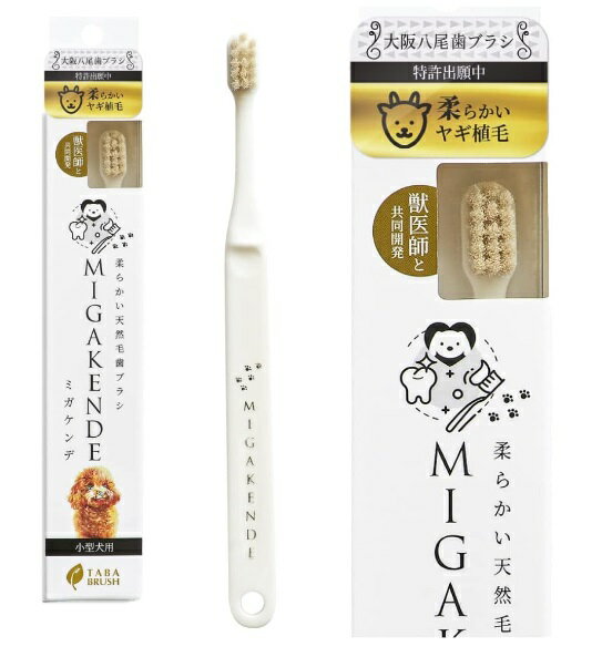 ߥ  ֥饷 1(䥮:Ķ餫)  ŷ MIGAKENDE [͹ء̵Բ]