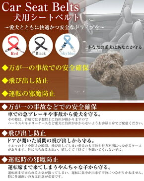 犬用シートベルト 《レッド》 車用 ペット用 安全ベルト[定形外郵便、送料無料、代引不可]