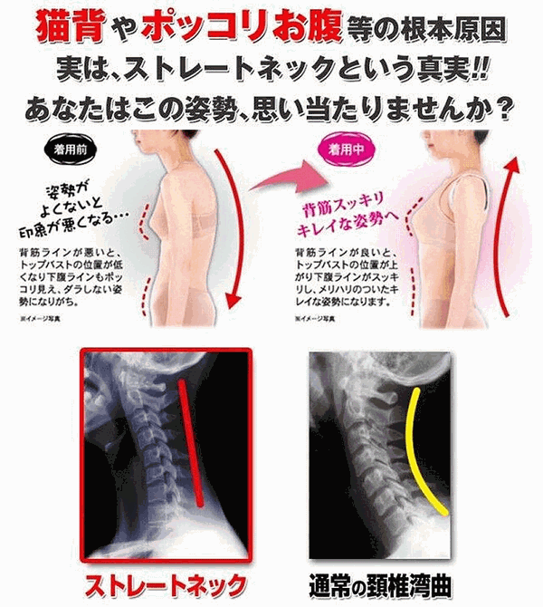 背筋矯正ベルト 2個セット 猫背 姿勢 サポーター ストレートネック[定形外郵便、送料無料、代引不可]