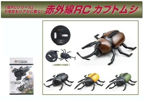 ֳR/C 饸 ֥ȥॷ 顼[͹ء̵Բ]