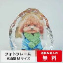 敬老の日 写真入り ギフト プレゼント 孫 氷山型Mサイズ おしゃれ 名入れ 感動の写真入りギフト 卒業記念品 写真立て フォトフレーム ペット オーダーメイド...