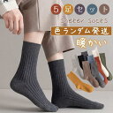 ソックス レディース 靴下 5足セット スニーカー くるぶし あったか靴下 滑り止め 防臭 部屋着 通学 通勤 室内 アウトドア