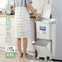 ゴミ箱 45L袋可 45リットル袋可 おしゃれ フロントオープン 分別 ダストボックス 積み重ね キッチン スリム シンプル 大容量 ふた付き 縦型 カウンター下