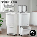 ゴミ箱 45L袋可 45リットル袋可 おしゃれ フロントオープン 分別 ダストボックス 積み重ね キッチン スリム シンプル 大容量 ふた付き 縦型 カウンター下