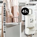 ゴミ箱 45L袋可 45リットル袋可 おしゃれ フロントオープン 分別 ダストボックス 積み重ね キッチン スリム シンプル 大容量 ふた付き 縦型 カウンター下