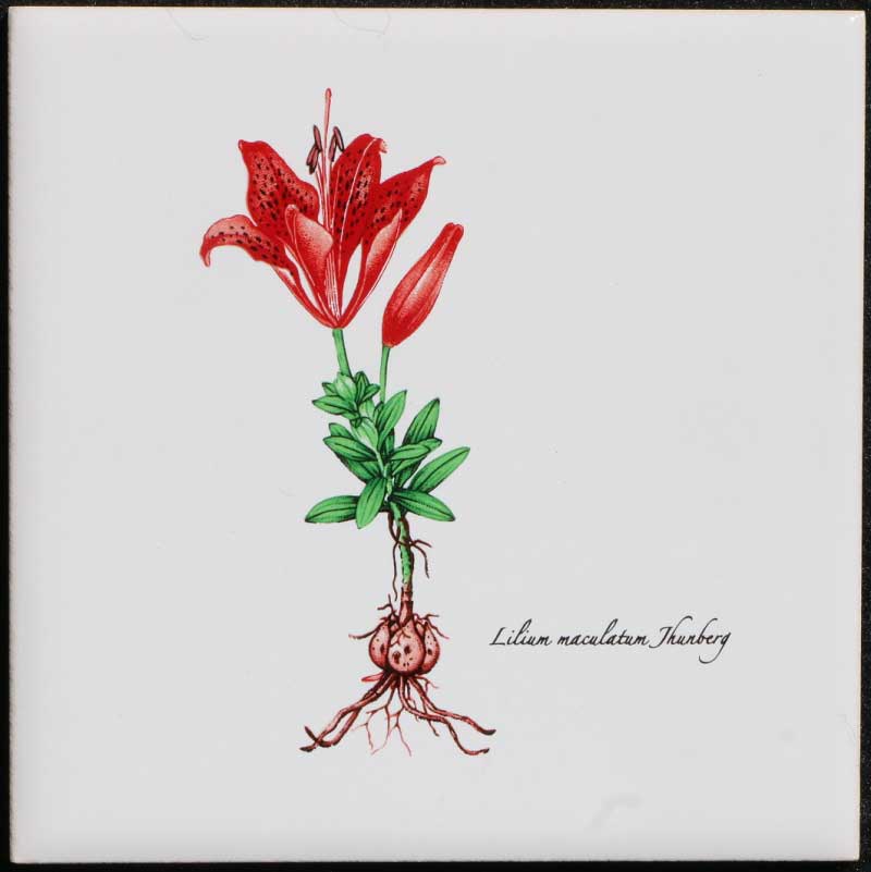 100角絵タイル　スカシユリ(4)