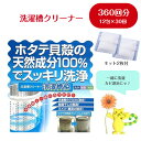 洗濯槽クリーナー 洗濯槽快 ネット2枚 クリーナー12包セット seiei 清水産業 天然成分100%