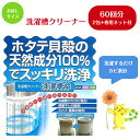 洗濯槽クリーナー 洗濯槽快 クリーナー2包 ネット付き seiei 清水産業 天然成分 100％ ほたて