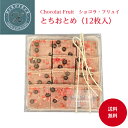 【ショコラ フリュイ とちおとめ】12枚入 送料無料 マンディアン フルーツチョコ チョコレート いちご パールチョコ プレゼント ギフト スイーツ 洋菓子 詰め合わせ 香料 着色料不使用 誕生日 お持たせ ご挨拶 ヒロセヤ 東京土産 お返し 母の日 父の日