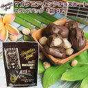 ハワイアンホースト マカダミアナッツチョコスタンドアップバッグ 9粒 108g ハワイお土産 送料込み クール便