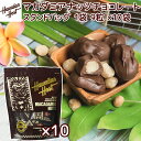ハワイアンホースト マカダミアナッツチョコスタンドアップバッグ 9粒 108g 10袋セット ハワイお土産 送料込み クール便