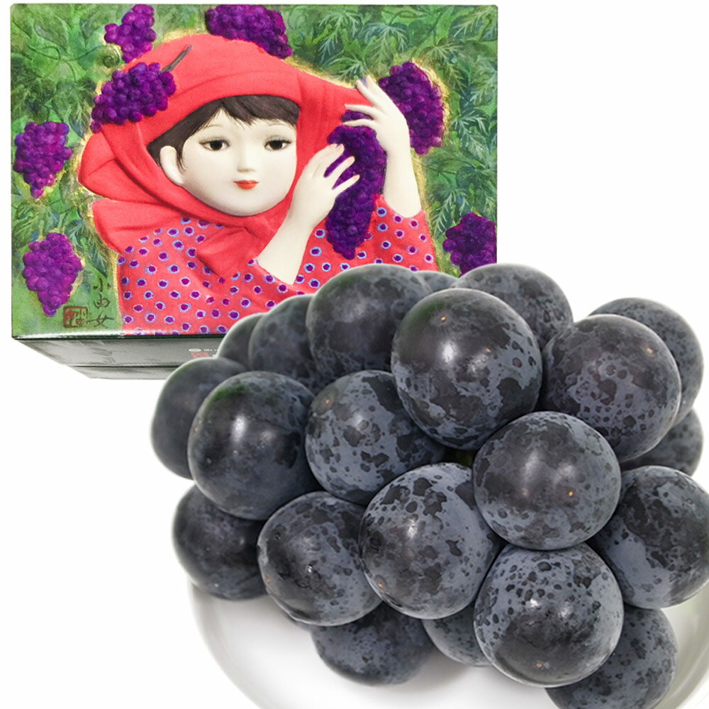 限定販売 三次ピオーネ 特選 広島産 2房 1kg 化粧箱入り 露地物 送料無料 北海道、沖縄、離島除く 黒い真珠 ぶどう 三次 進物 ギフトのサムネイル