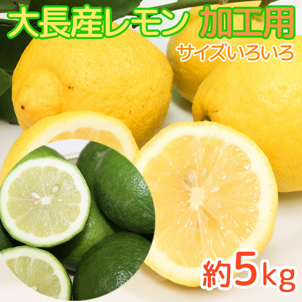 農園直送 うえがみ農園 広島県大長産レモン 訳あり 約5kg サイズいろいろ ジュース用 グリーンレモンから11月末頃黄色へ 送料無料 国産レモン 広島県大崎下...