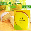 広島レモンケーキ プレミアム 10個入り バッケンモーツアルト 送料無料 広島お土産 瀬戸田レモン お取り寄せスイーツ