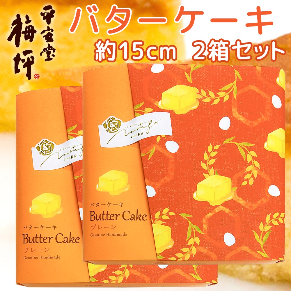 広島銘菓 バターケーキ 手提げ袋付き 2箱セット 送料込み 手土産 平安堂梅坪