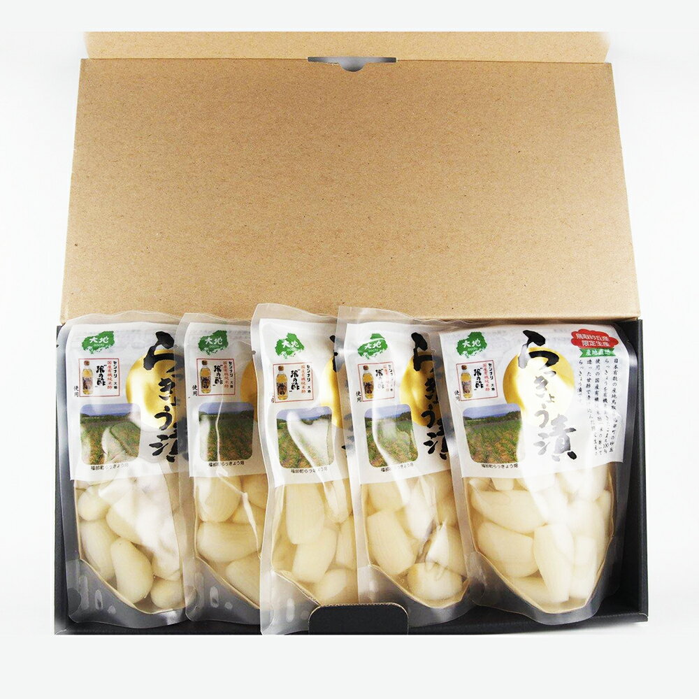 鳥取砂丘産 らっきょう漬 130g 5袋セット ギフト箱入り 送料無料 センナリ 米酢 鳥取県 贈答用 ギフト用