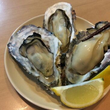 送料無料 産地直送 広島県産 生牡蠣(かき) むき身 1kg アミスイ かき小町 かき カキ 牡蛎 かき鍋 カキフライ