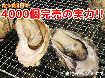 送料無料 産地直送 広島県産 生牡蠣 むき身 500g アミスイ かき小町 かき カキ 牡蛎 かき鍋 カキフライ