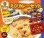 【南インドの本格カレー 無添加】広島ラーダカレー えびカレーセット4人前【不使用 化学調味料、合成保存料、着色料、砂糖】
