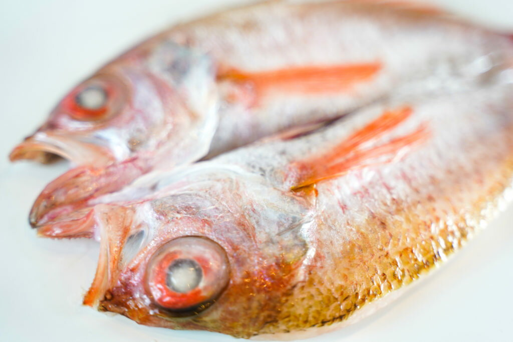 産地直送 島根県沖産 のどぐろ、エテかれい一夜干 送料込み のどぐろ、エテかれい （冷凍） ギフト 干し物 お取り寄せ 岡富商店 2