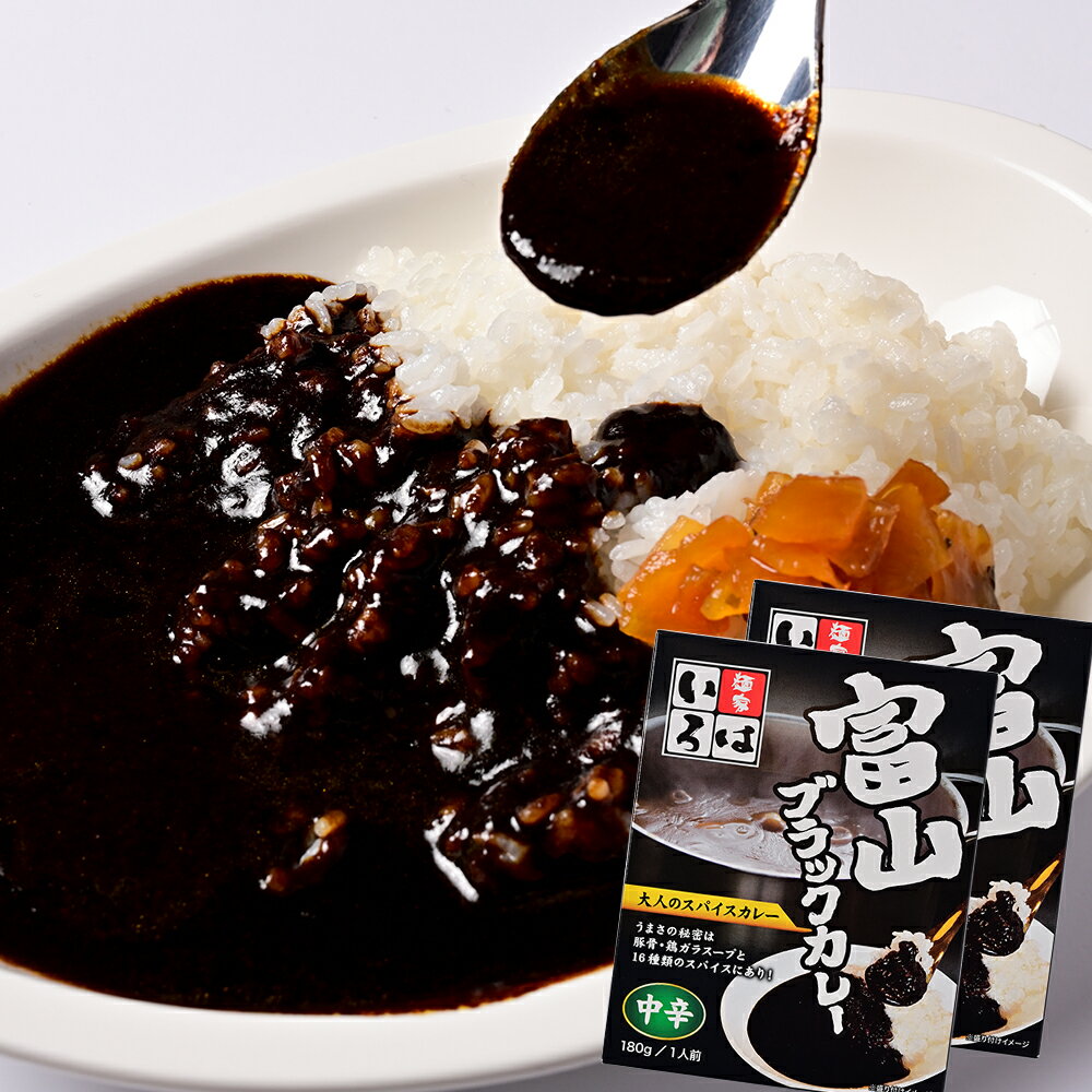 富山ブラックカレー中辛 1人前2箱セット 送料込み 麺家いろはこだわり商品 カレーソース パウチタイプ