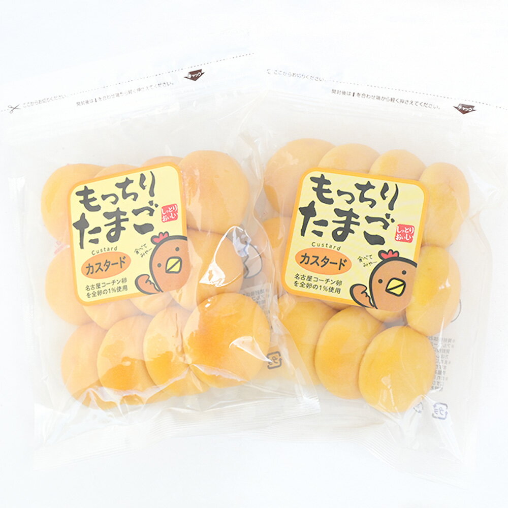数量限定 訳あり 3割引き もっちりたまごカスタード 2袋セット 送料込み おやつ 朝食 銀座花のれん