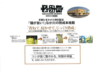 ひろしまグルメショップ ぶち旨汁なし担々麺 2食入り 4袋セット たれ、すり胡麻、七味唐辛子付き 送料無料 ラーメン 半生熟成麺 瀬戸内麺工房 なか川 銀座tau 広島 お土産 画像3