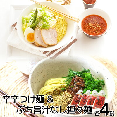 ひろしまグルメショップ ぶち旨汁なし担々麺 2食入り 辛辛つけ麺 広島流 2食入り 2種類、4袋セット 送料無料 ラーメン 半生熟成麺 瀬戸内麺工房 なか川 お土産 銀座tau