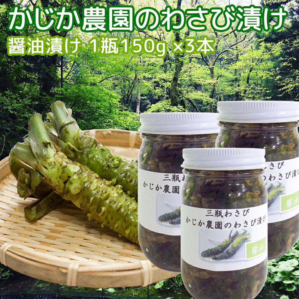 わさび漬け 醤油 1瓶150g 3本セット 島根県産 送料無料 クール便 農園直送 ご飯の友 島根県大田市ブランド わさび かじか農園