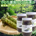 わさび漬け 醤油 1瓶150g 3本セット 島根県産 送料無料 クール便 農園直送 ご飯の友 島根県大田市ブランド わさび かじか農園