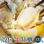 送料無料 産地直送 広島県産 殻付き 生牡蠣 100個 アミスイ かき小町 かき カキ 牡蛎 焼き牡蠣 かき鍋 カキフライ