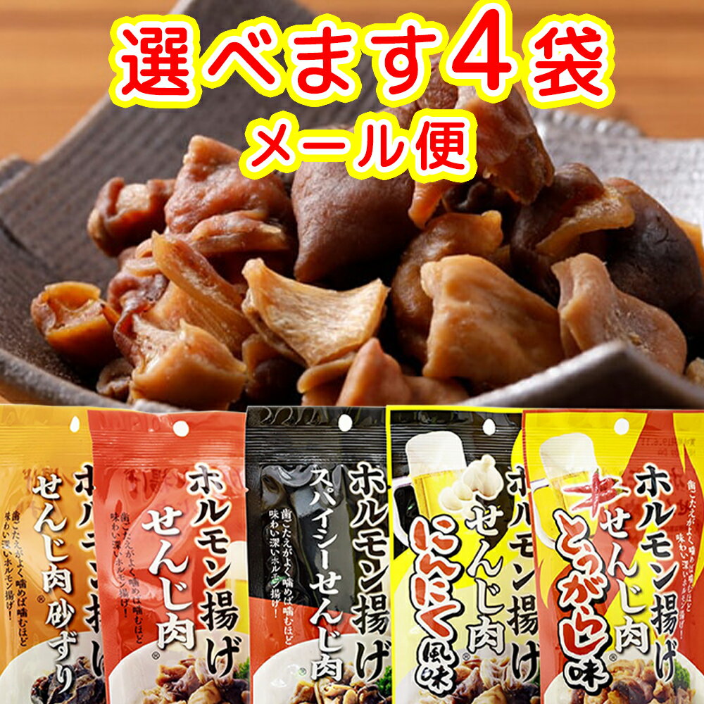 広島名物 せんじ肉 選べる4袋 送料