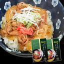 牛丼 ぎゅ牛っと丼 160g 2個セット 広島牛使用 送料込み レトルト 和牛 ご当地グルメ 帝釈峡スコラ お土産