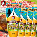 お好みソース ガーリーカリー300g 4本セット 送料込み 西村キャンプ場 バイキング西村瑞樹監修 キャンプ飯 万能ソース tau 広島 お土産 オタフク 作り...