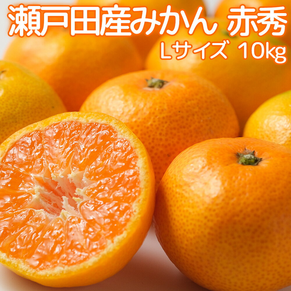 広島県 瀬戸田産 みかん 赤秀L 10kg 贈答品 送料無料 市場直送(4)