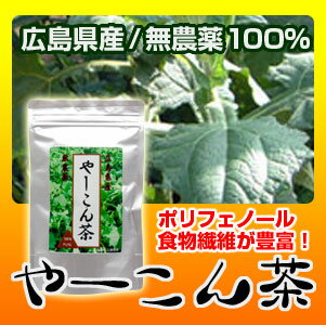 無農薬栽培100％のやーこん茶【日本郵便クリックポストメール便送料無料】※日時指定不可※同梱不可※ギフト対応不可※代金引換・コンビニ決済不可