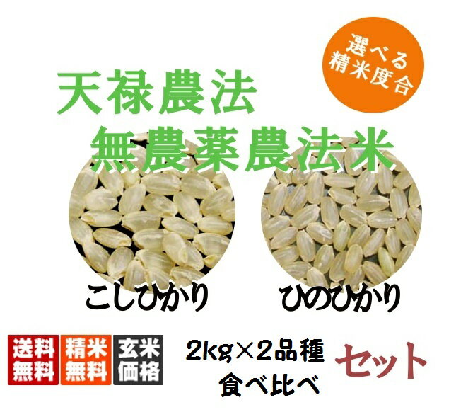 【藍藻育ち】天緑農法 2kg×2銘柄 こしひかり ひのひかり【送料無料（一部地域除く）】無農薬 高LPS 広島 三次産 玄米〜白米対応可 藍の舞 あいのまい 高LPS 無農薬米 あす楽対応 広島 令和5年度産　2023