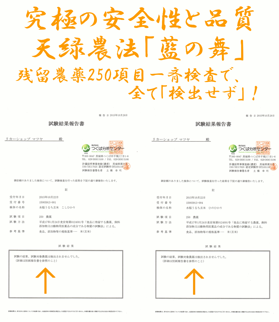 新米【藍藻育ち】天緑農法こしひかり1kg残留農薬250項目放射能測定検査済藍の舞あいのまい高LPS無農薬米玄米~白米対応可あす楽広島三次産令和3年度産2021