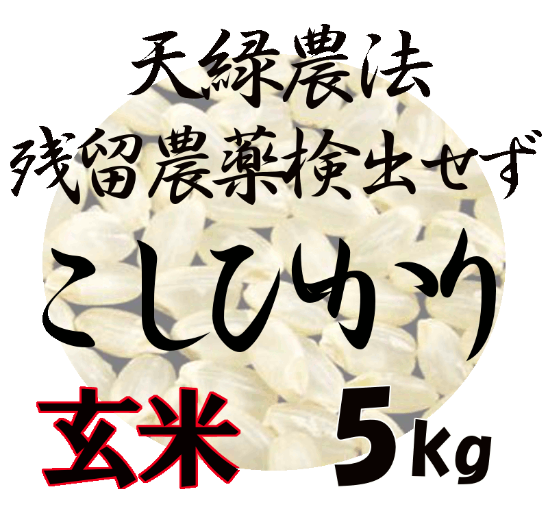 藍藻育ち 天緑農法 こしひかり 5kg 残留農薬250項目 放射能測定も すべて検出せず 藍の舞 あいのまい 高LPS 無農薬米 あす楽対応 広島 【送料無料（一部地域除く）】令和5年度産 2023