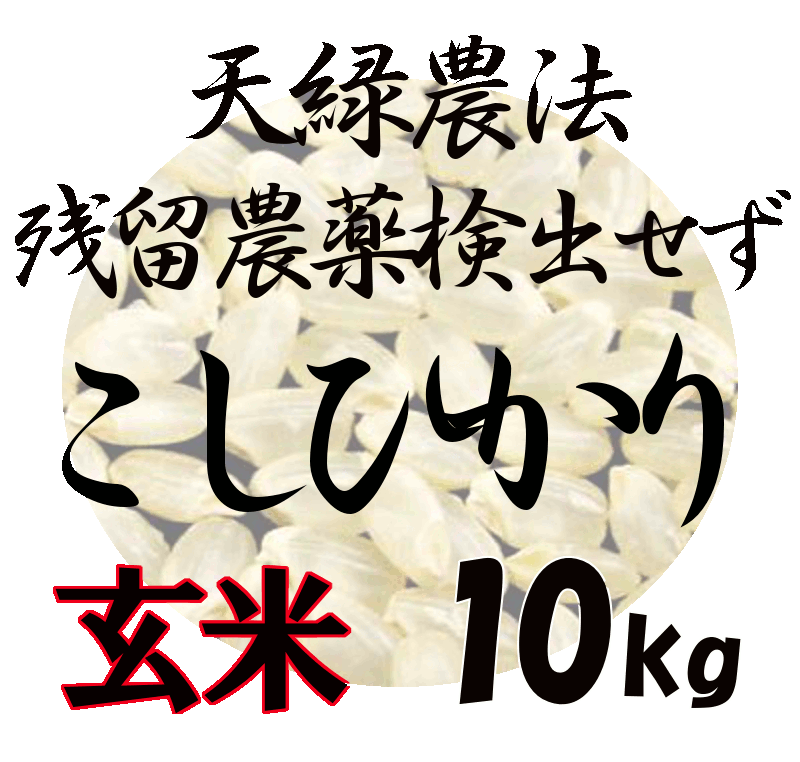 藍藻育ち 天緑農法 こしひかり 10kg 残留農薬250項目 放射能測定も すべて検出せず 藍の舞 あいのまい 高LPS 無農薬米 あす楽対応 広島 【送料無料（一部地域除く）】令和5年度産 2023