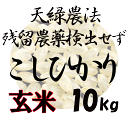 藍藻育ち 天緑農法 こしひかり 10kg 残留農薬250項目 放射能測定も すべて検出せず 藍の舞 あいのまい 高LPS 無農薬米 あす楽対応 広島 【送料無料（一部地域除く）】令和3年度産 2021