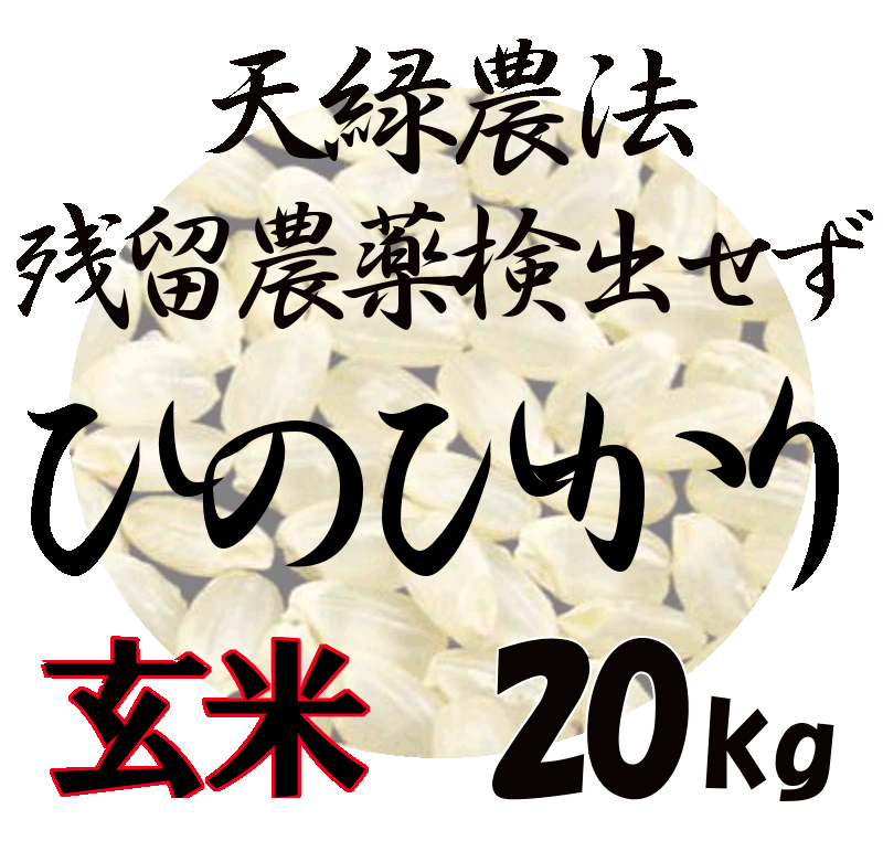 【送料無料（一部地域除く）】 藍藻育ち 天緑農法 ひのひかり 20kg 残留農薬250項目 放射能測定も すべて検出せず 藍の舞 高LPS 無農薬米 あす楽対応 広島 令和5年度産 2023